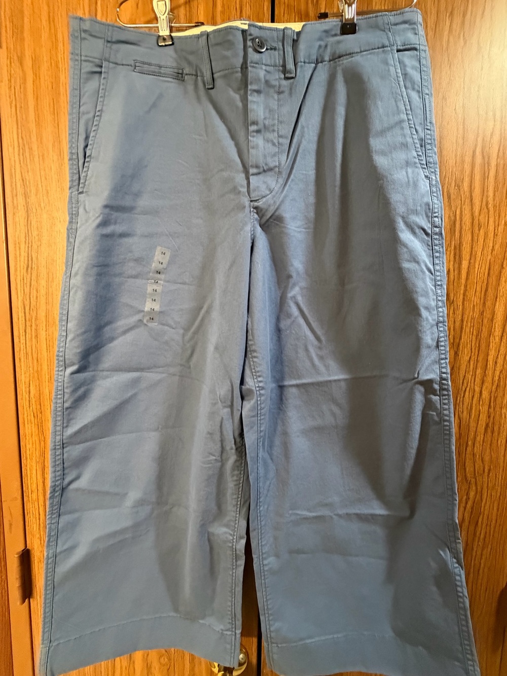 NWot Polo by Ralph Lauren Light Blue women’s Chinos